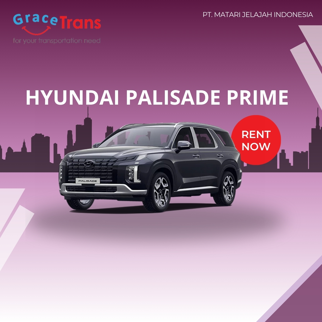 Hyundai Palisade Prime - 1